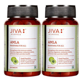 Jiva Amla Tablets 500mg 100% Pure Herbs Used, Rich In Vitamin C, Protects Against Free Radicals | Rich In Antioxidants, Improves Digestion, Enhances Vision | 120 Tablet 200gm Each Pack Of 2