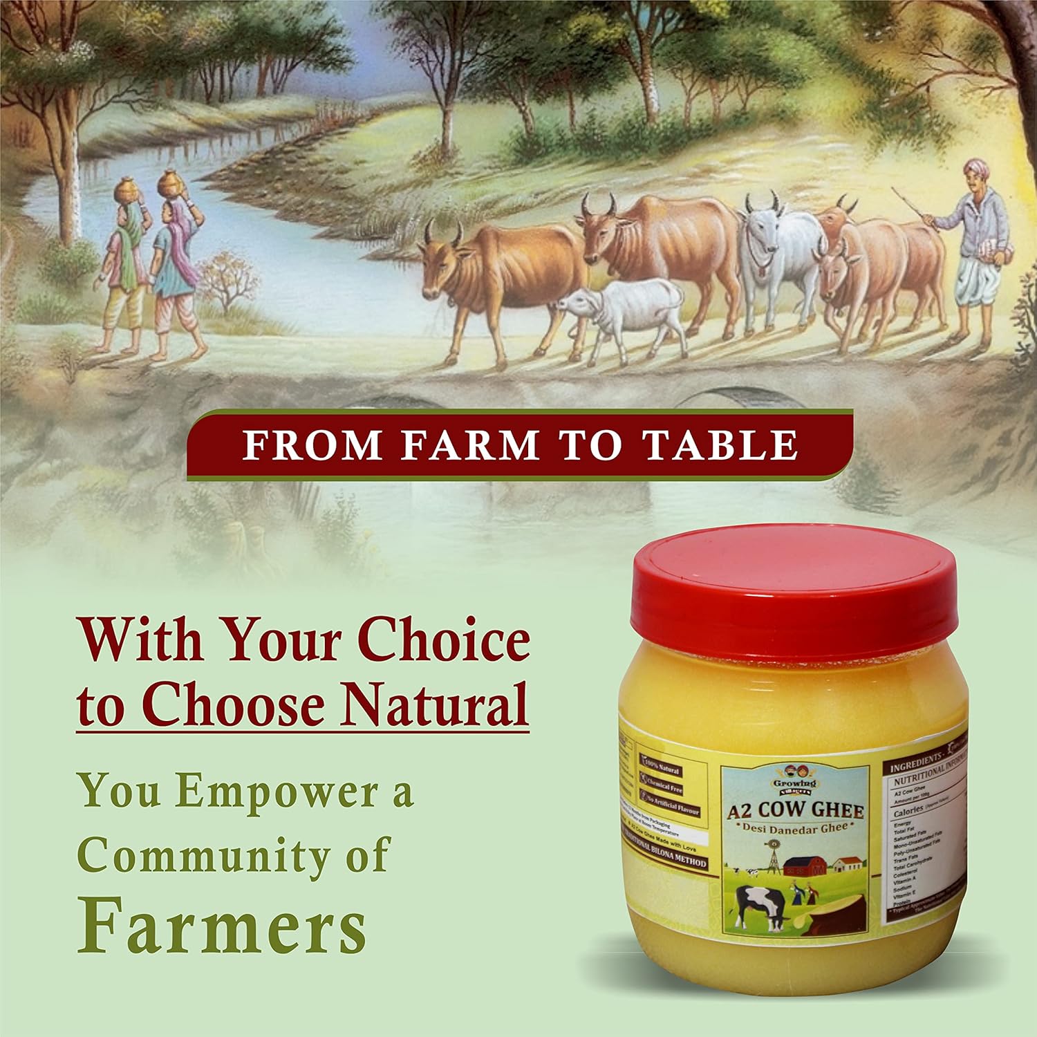 Pure A2 Cow Ghee By Growing Villagers | Good Source Of Energy Healthy & Nutrients Desi Danedar Ghee Roast Makhana | (500ml) 16.9 Ounce | Jar Pack Pure A2 Cow Ghee By Growing Villagers | Good Source Of Energy Healthy & Nutrients Desi Danedar Ghee Roast Makhana | (500ml) 16.9 Ounce | Jar Pack