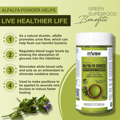 Iyush Herbal Ayurveda Alfalfa Superfood Powder, 100% Forest Variety Herbs, 100% Organic, Pure & Natural | 100gm 0.2lbs Each Pack Of 2