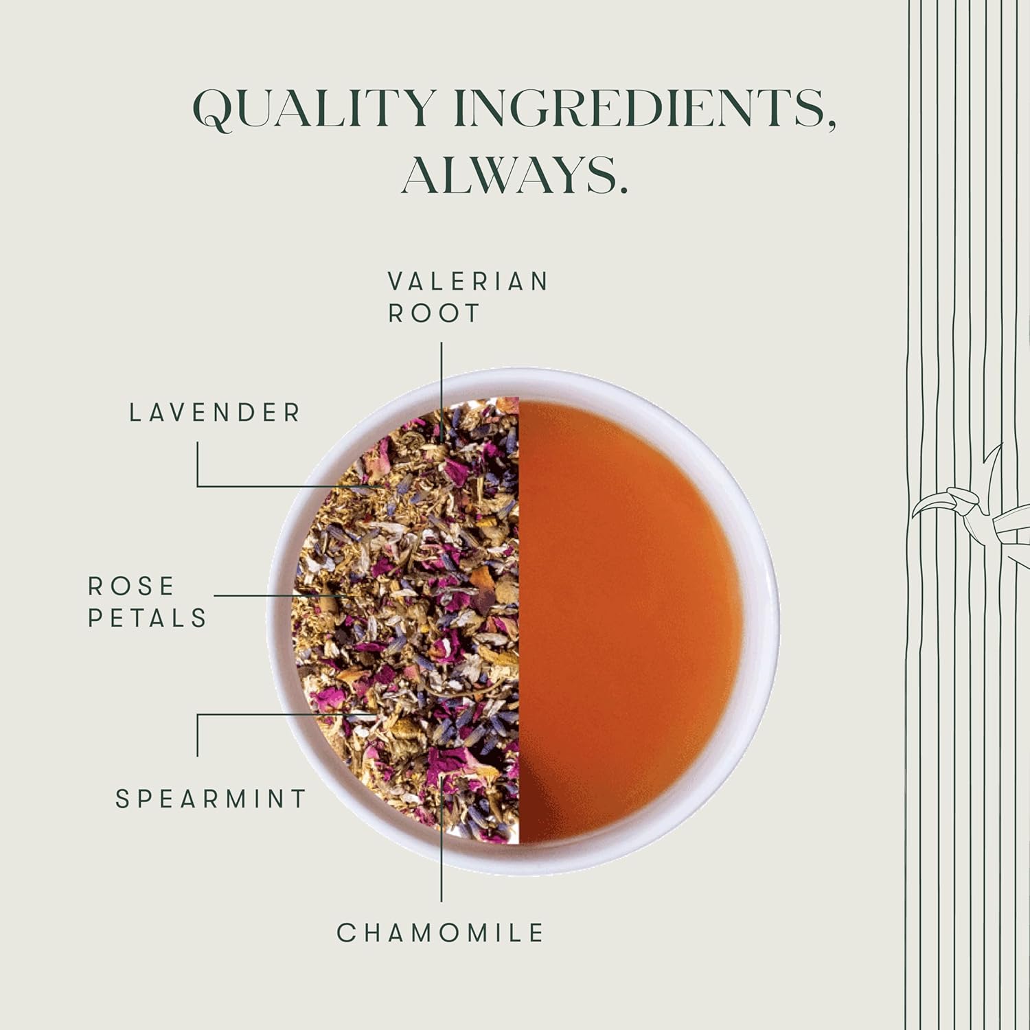 Luxmi Estates Valerian Dream Herbal Tea - 50gm, 1.7 Ounce, 25 Cups | USDA Certified Organic Valerian Root + Chamomile Herbal Tea - Gluten Free, Caffeine Free Tea Bags Luxmi Estates Valerian Dream Herbal Tea - 50gm, 1.7 Ounce, 25 Cups | USDA Certified Organic Valerian Root + Chamomile Herbal Tea - Gluten Free, Caffeine Free Tea Bags