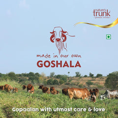 Natural A2 Desi Gir Cow Ghee By Nature'S Trunk | Vedic Bilona Method Healthy & Tasty Gir Cow Ghee Good For Modak | (250ml) 8.4 Ounce | Jar Pack