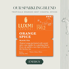 Luxmi Estates Orange Spice Black Tea - 100gm, 3.5 Ounce, 50 Tea Bags | USDA Certified Organic Tea - Medium Caffeine Black Tea | Rich In Antioxidants, Additives Free