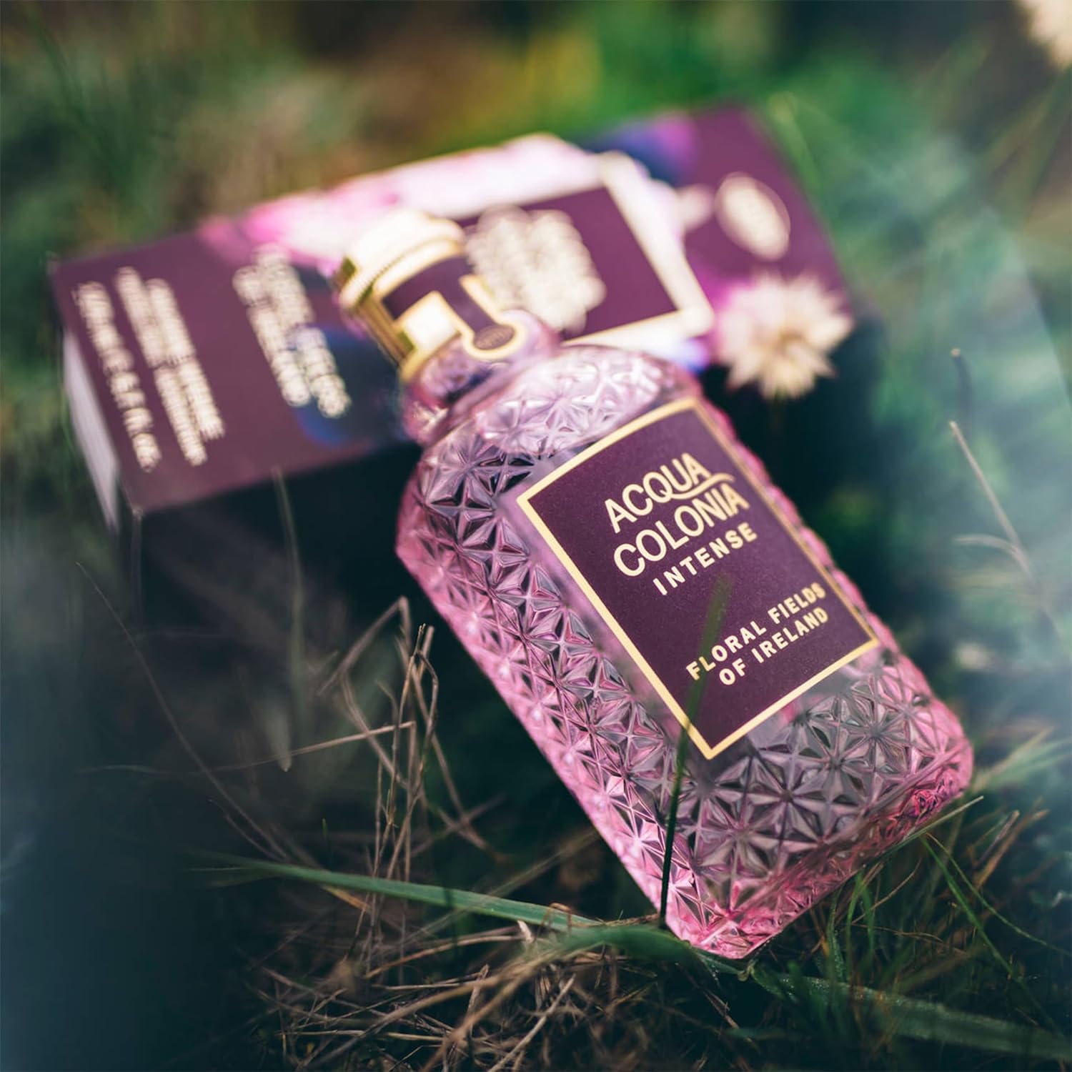 4711 Acqua Colonia Intense Floral Fields Of Ireland Eau De Cologne 170ml 5.7 Fl.oz.| Perfect Gift For Wife | Long Lasting Fragrance 4711 Acqua Colonia Intense Floral Fields Of Ireland Eau De Cologne 170ml 5.7 Fl.oz.| Perfect Gift For Wife | Long Lasting Fragrance