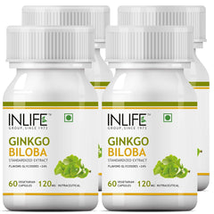 Inlife Ginkgo Biloba Extract Capsules 120mg, Herbal Supplement, Memory Support | 60 Veg Capsules 50gm 0.1lbs Each Pack Of 4