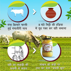 100% Natural Vedic Mathni Ghrit Desi Ghee By Gau Amritam | Pure Healthy Traditional Curd Churned Desi Cow Ghee For Calcium | (500ml) 16.9 Ounce | Jar Pack