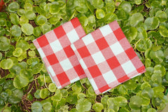 Crazyweaves Crazy Weaves Cotton Hand Towel 400 Gsm | Lunch Box Towels Daily Use 100% Pure Cotton Towel | Pack Of 4 (Red Water Green)