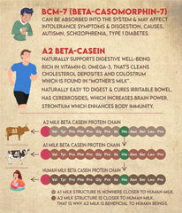 Premium A2 Indian Cow'S Desi Ghee By Manorma | Vedic Bilona Healthy Desi Ghee Perfect For Cooking | (1 Litr) 33.8 Ounce | Tin Pack