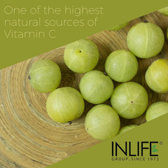 Inlife Natural Vitamin C Amla Extract Supplement Immunity, Overall Wellness For Men & Women | 60 Veg Capsules 100gm 0.2lbs
