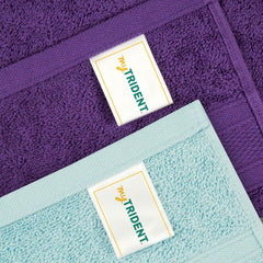 Mytrident Soft Comfort Air Rich 100% Cotton Hand Towel 800 Gsm | Highly Absorbent Towels For Men & Women Hand Towel (Nile Blue & Plum) - 4 Pcs