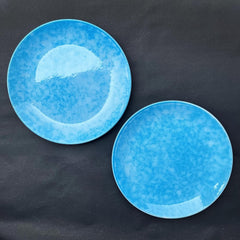 Neelam Ceramic Dinner Plates Set Of 2 - 10 Inches, 2 Pieces, Blue | Hand Painted Full Ceramic Plates For Dinner - Microwave Safe & Dishwasher Safe