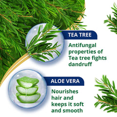 Himalaya Anti-Dandruff Tea Tree Conditioner, Detangles & Smoothens Hair | 80ml