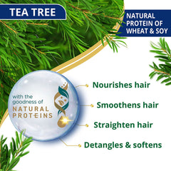 Himalaya Anti-Dandruff Tea Tree Conditioner, Detangles & Smoothens Hair | 80ml