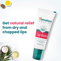Himalaya Lip Balm, Nourishes Lips | 10gm