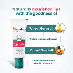 Himalaya Lip Balm, Nourishes Lips | 10gm