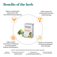 Himalaya Wellness Pure Herbs Punarnava Urinary Wellness Tablet, Useful For Efficient Kidney Functions | 60 Tablets (Pack Of 5)