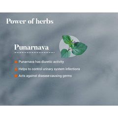 Himalaya Wellness Pure Herbs Punarnava Urinary Wellness Tablet, Useful For Efficient Kidney Functions | 60 Tablets (Pack Of 5)