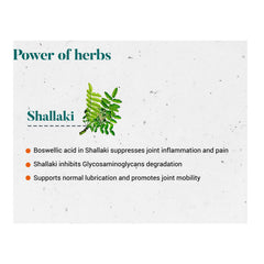 Himalaya Wellness Pure Herbs Shallaki Bone & Joint Wellness Tablet, Reduces Pain & Inflammation | 60 Tablets