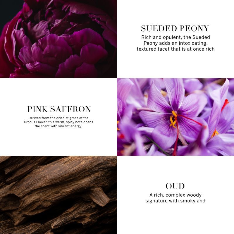 VICTORIA'S SECRET BOMBSHELL OUD FINE FRAGRANCE MIST 250ML 8.4 FL.OZ. VICTORIA'S SECRET BOMBSHELL OUD FINE FRAGRANCE MIST 250ML 8.4 FL.OZ.