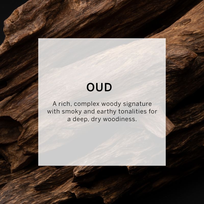 VICTORIA'S SECRET BOMBSHELL OUD FINE FRAGRANCE MIST 250ML 8.4 FL.OZ. VICTORIA'S SECRET BOMBSHELL OUD FINE FRAGRANCE MIST 250ML 8.4 FL.OZ.