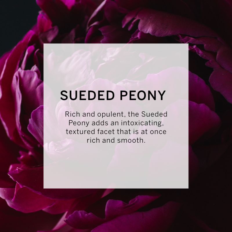 VICTORIA'S SECRET BOMBSHELL OUD FINE FRAGRANCE MIST 75ML 2.5 FL.OZ. FOR WOMEN VICTORIA'S SECRET BOMBSHELL OUD FINE FRAGRANCE MIST 75ML 2.5 FL.OZ. FOR WOMEN