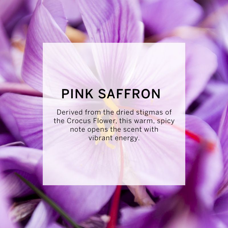 VICTORIA'S SECRET BOMBSHELL OUD FINE FRAGRANCE MIST 75ML 2.5 FL.OZ. FOR WOMEN VICTORIA'S SECRET BOMBSHELL OUD FINE FRAGRANCE MIST 75ML 2.5 FL.OZ. FOR WOMEN