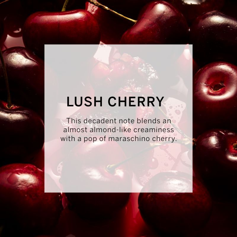 VICTORIA'S SECRET BOMBSHELL INTENSE EAU DE PARFUM 50ML 1.6 FL.OZ. WOMEN FRAGRANCE VICTORIA'S SECRET BOMBSHELL INTENSE EAU DE PARFUM 50ML 1.6 FL.OZ. WOMEN FRAGRANCE