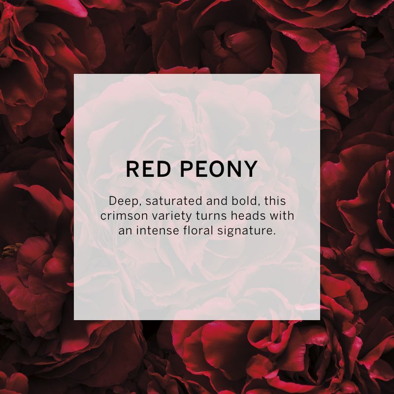 VICTORIA'S SECRET BOMBSHELL INTENSE EAU DE PARFUM 50ML 1.6 FL.OZ. WOMEN FRAGRANCE VICTORIA'S SECRET BOMBSHELL INTENSE EAU DE PARFUM 50ML 1.6 FL.OZ. WOMEN FRAGRANCE