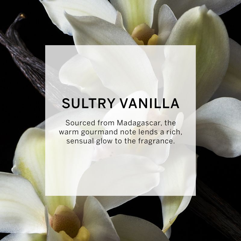 VICTORIA'S SECRET BOMBSHELL INTENSE EAU DE PARFUM 50ML 1.6 FL.OZ. WOMEN FRAGRANCE VICTORIA'S SECRET BOMBSHELL INTENSE EAU DE PARFUM 50ML 1.6 FL.OZ. WOMEN FRAGRANCE