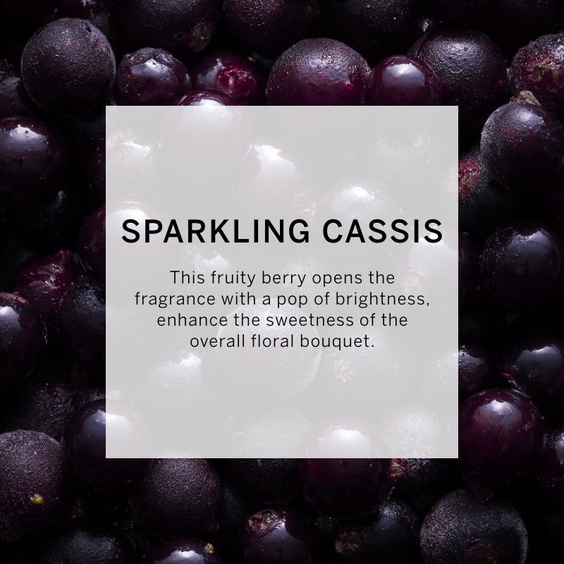 VICTORIA'S SECRET BOMBSHELL PASSION FINE FRAGRANCE MIST 250ML 8.4 FL.OZ. WOMEN FRAGRANCE VICTORIA'S SECRET BOMBSHELL PASSION FINE FRAGRANCE MIST 250ML 8.4 FL.OZ. WOMEN FRAGRANCE