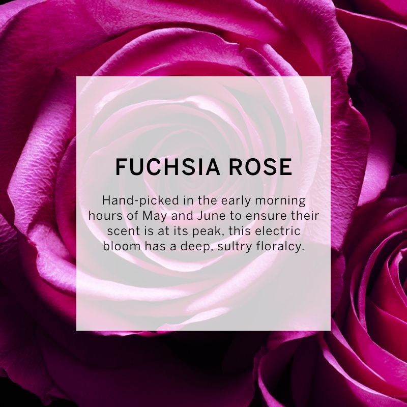 VICTORIA'S SECRET BOMBSHELL PASSION FINE FRAGRANCE MIST 75ML 2.5 FL.OZ. FOR WOMEN VICTORIA'S SECRET BOMBSHELL PASSION FINE FRAGRANCE MIST 75ML 2.5 FL.OZ. FOR WOMEN