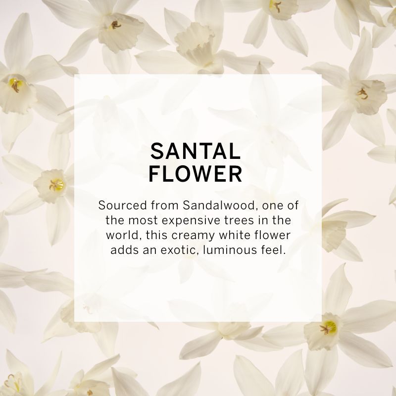 VICTORIA'S SECRET TEASE CREME CLOUD FINE FRAGRANCE MIST 75ML 2.5 FL.OZ. WOMEN FRAGRANCE VICTORIA'S SECRET TEASE CREME CLOUD FINE FRAGRANCE MIST 75ML 2.5 FL.OZ. WOMEN FRAGRANCE