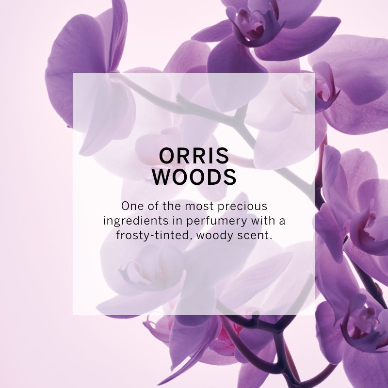 VICTORIA'S SECRET VERY SEXY ORCHID FINE FRAGRANCE MIST 250ML 8.4 FL.OZ. WOMEN FRAGRANCE VICTORIA'S SECRET VERY SEXY ORCHID FINE FRAGRANCE MIST 250ML 8.4 FL.OZ. WOMEN FRAGRANCE