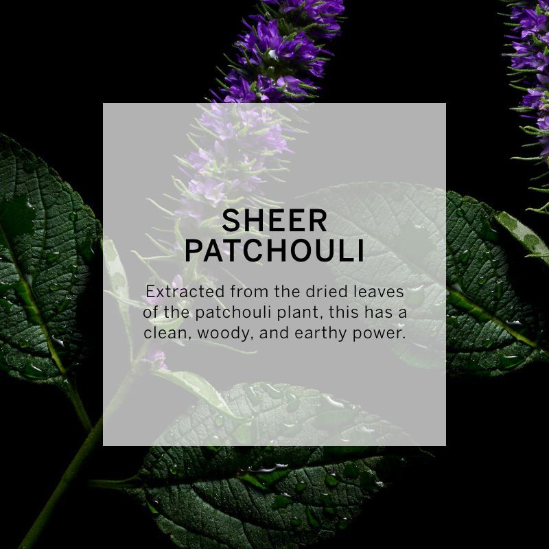 VICTORIA'S SECRET VERY SEXY ORCHID FINE FRAGRANCE MIST 250ML 8.4 FL.OZ. WOMEN FRAGRANCE VICTORIA'S SECRET VERY SEXY ORCHID FINE FRAGRANCE MIST 250ML 8.4 FL.OZ. WOMEN FRAGRANCE