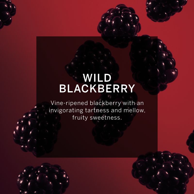 VICTORIA'S SECRET VERY SEXY EAU DE PARFUM 100ML 3.4 FL.OZ. WOMEN FRAGRANCE VICTORIA'S SECRET VERY SEXY EAU DE PARFUM 100ML 3.4 FL.OZ. WOMEN FRAGRANCE