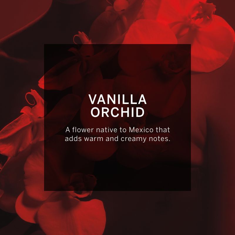 VICTORIA'S SECRET VERY SEXY EAU DE PARFUM 100ML 3.4 FL.OZ. WOMEN FRAGRANCE VICTORIA'S SECRET VERY SEXY EAU DE PARFUM 100ML 3.4 FL.OZ. WOMEN FRAGRANCE