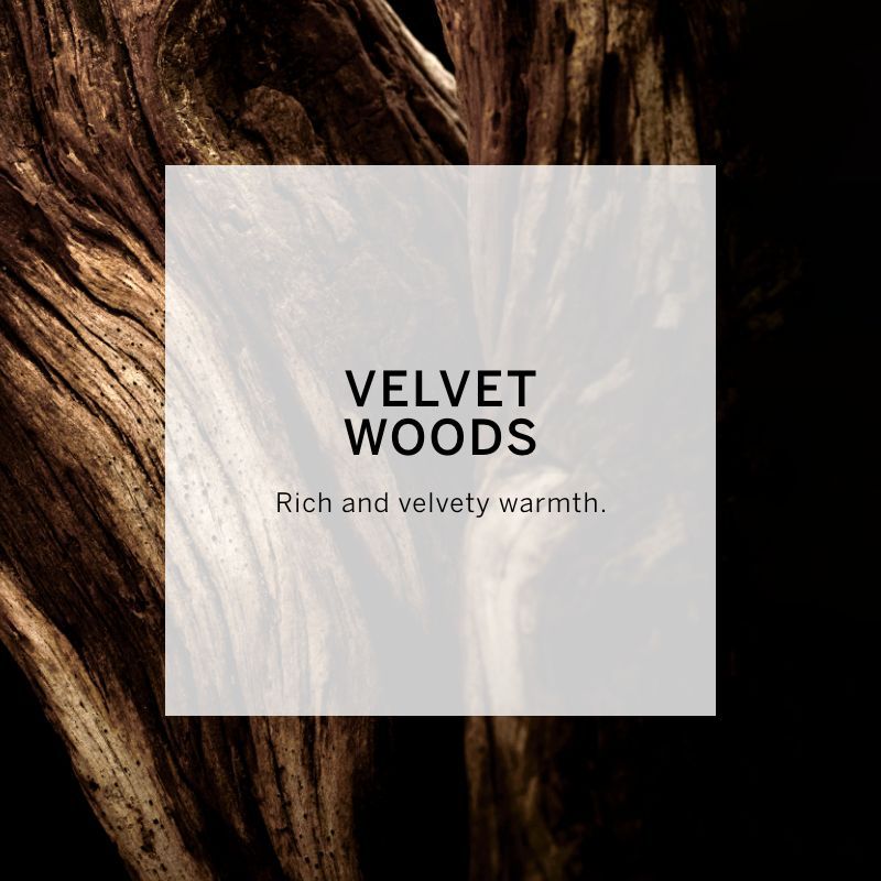 VICTORIA'S SECRET VERY SEXY NIGHT EAU DE PARFUM 50ML 1.6 FL.OZ. WOMEN FRAGRANCE VICTORIA'S SECRET VERY SEXY NIGHT EAU DE PARFUM 50ML 1.6 FL.OZ. WOMEN FRAGRANCE