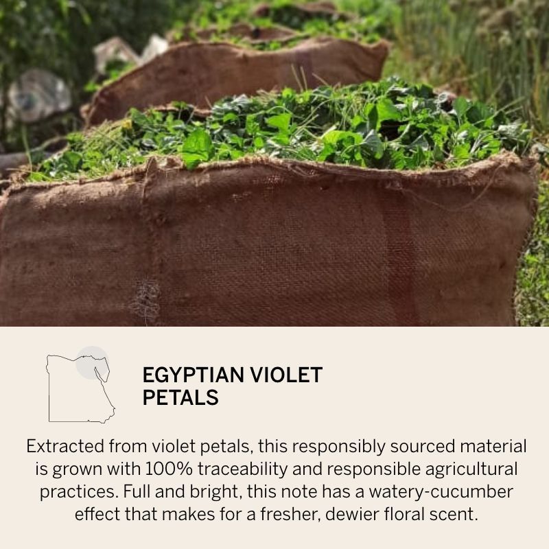 VICTORIA'S SECRET BARE FINE FRAGRANCE MIST 75ML 2.5 FL.OZ. WOMEN FRAGRANCE VICTORIA'S SECRET BARE FINE FRAGRANCE MIST 75ML 2.5 FL.OZ. WOMEN FRAGRANCE