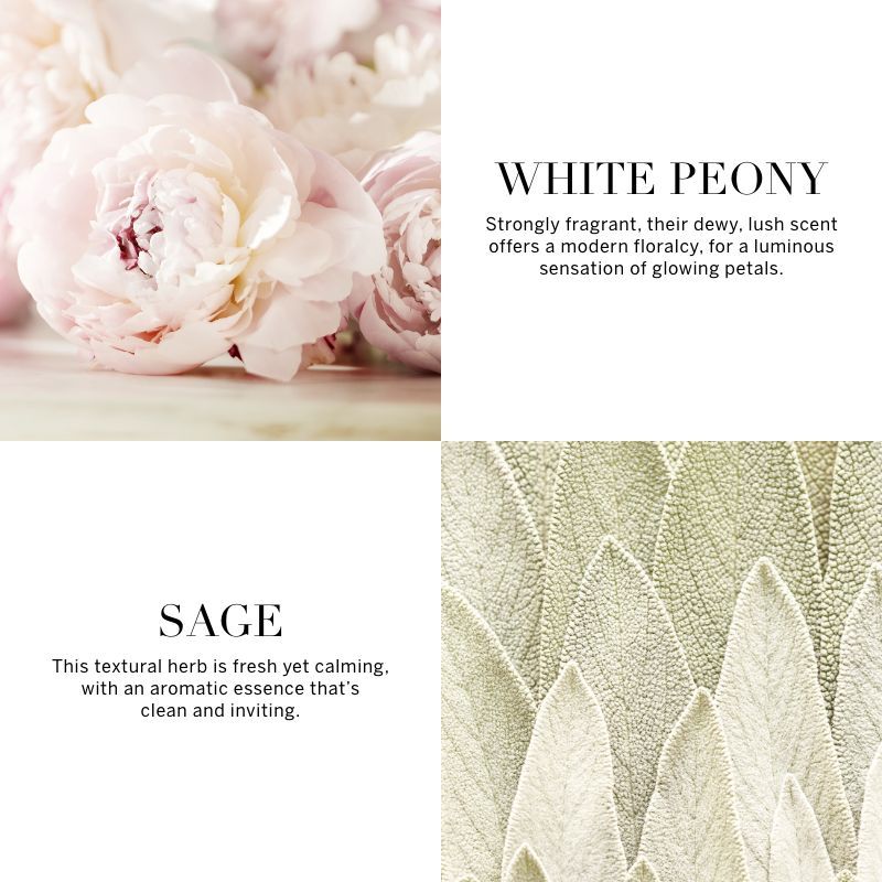 VICTORIA'S SECRET BOMBSHELL SEDUCTION FINE FRAGRANCE MIST 75ML 2.5 FL.OZ. VICTORIA'S SECRET BOMBSHELL SEDUCTION FINE FRAGRANCE MIST 75ML 2.5 FL.OZ.