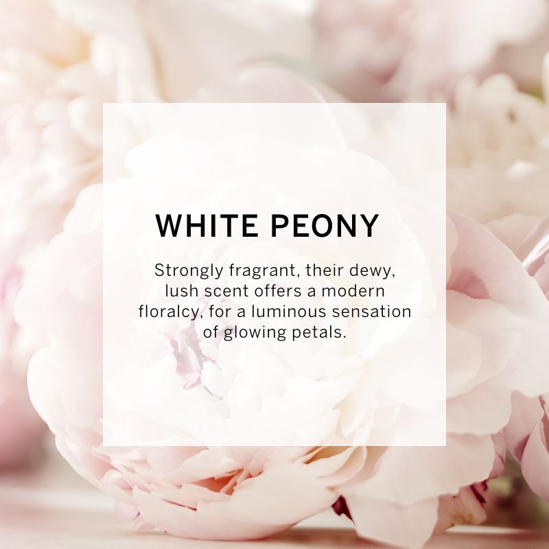 VICTORIA'S SECRET BOMBSHELL SEDUCTION FINE FRAGRANCE MIST 75ML 2.5 FL.OZ. VICTORIA'S SECRET BOMBSHELL SEDUCTION FINE FRAGRANCE MIST 75ML 2.5 FL.OZ.