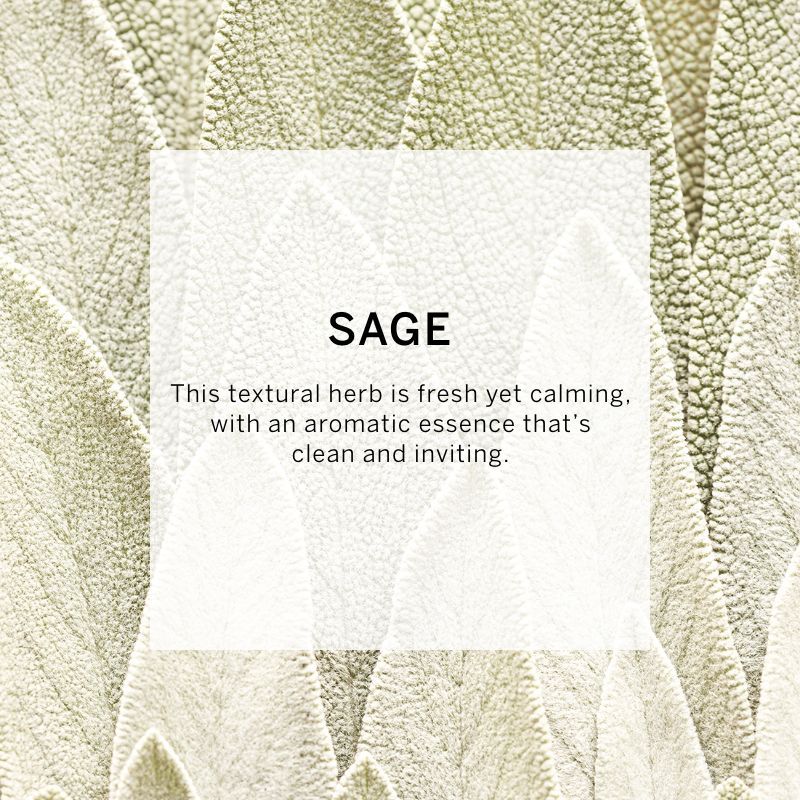 VICTORIA'S SECRET BOMBSHELL SEDUCTION FINE FRAGRANCE MIST 75ML 2.5 FL.OZ. VICTORIA'S SECRET BOMBSHELL SEDUCTION FINE FRAGRANCE MIST 75ML 2.5 FL.OZ.