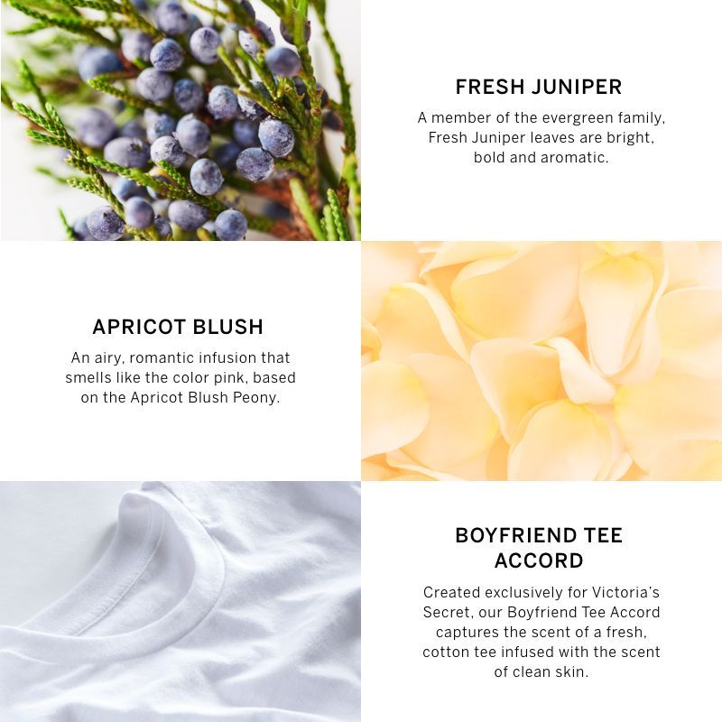 VICTORIA'S SECRET LOVE FINE FRAGRANCE MIST 75ML 2.5 FL.OZ. WOMEN FRAGRANCE VICTORIA'S SECRET LOVE FINE FRAGRANCE MIST 75ML 2.5 FL.OZ. WOMEN FRAGRANCE