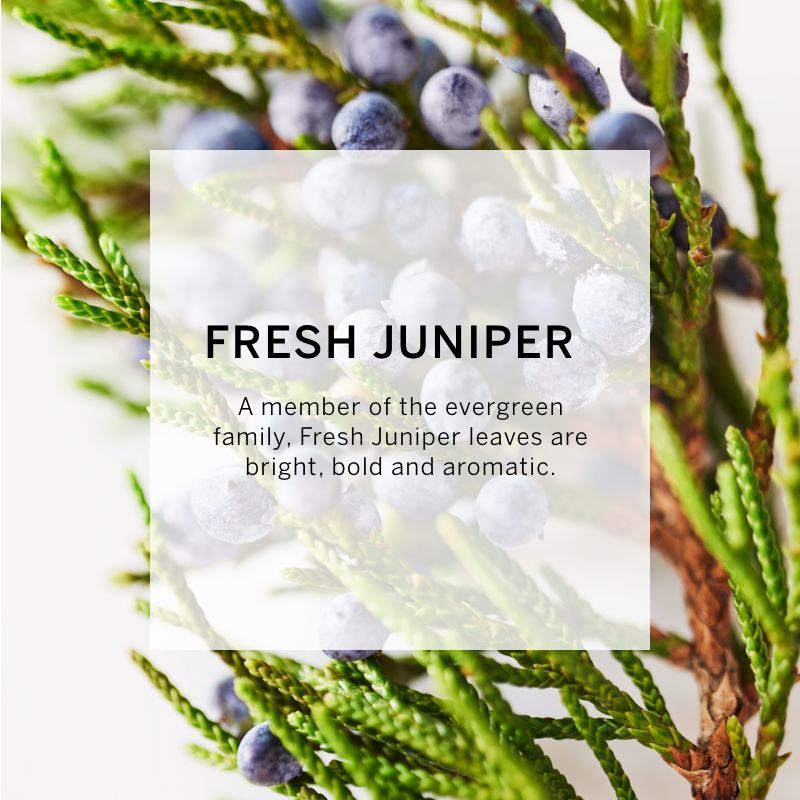 VICTORIA'S SECRET LOVE FINE FRAGRANCE MIST 75ML 2.5 FL.OZ. WOMEN FRAGRANCE VICTORIA'S SECRET LOVE FINE FRAGRANCE MIST 75ML 2.5 FL.OZ. WOMEN FRAGRANCE