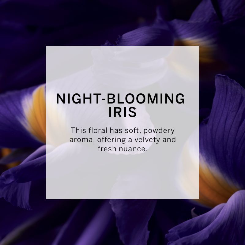 VICTORIA'S SECRET TEASE NOIR FINE FRAGRANCE MIST 250ML 8.4 FL.OZ. WOMEN FRAGRANCE VICTORIA'S SECRET TEASE NOIR FINE FRAGRANCE MIST 250ML 8.4 FL.OZ. WOMEN FRAGRANCE