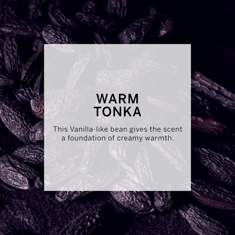 VICTORIA'S SECRET TEASE NOIR FINE FRAGRANCE MIST 250ML 8.4 FL.OZ. WOMEN FRAGRANCE VICTORIA'S SECRET TEASE NOIR FINE FRAGRANCE MIST 250ML 8.4 FL.OZ. WOMEN FRAGRANCE