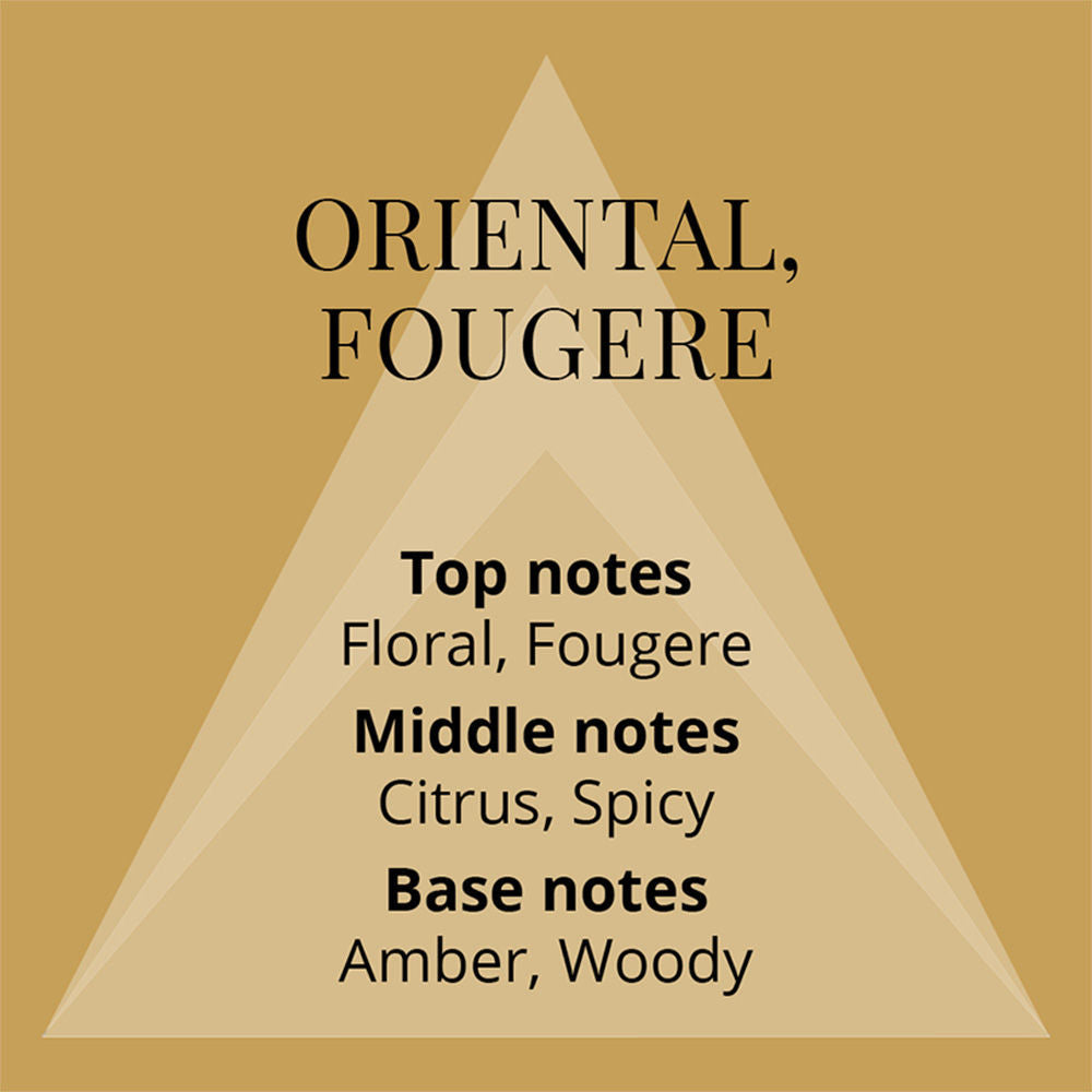 COLOUR ME GOLD HOMME EAU DE PARFUM 90ML 3.0 FL.OZ. FOR MEN | LONG LASTING COLOUR ME GOLD HOMME EAU DE PARFUM 90ML 3.0 FL.OZ. FOR MEN | LONG LASTING