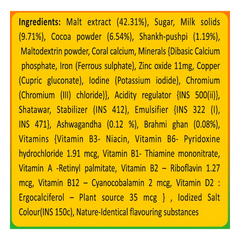 Patanjali Herbal Powervita Plus - Refill 500gm