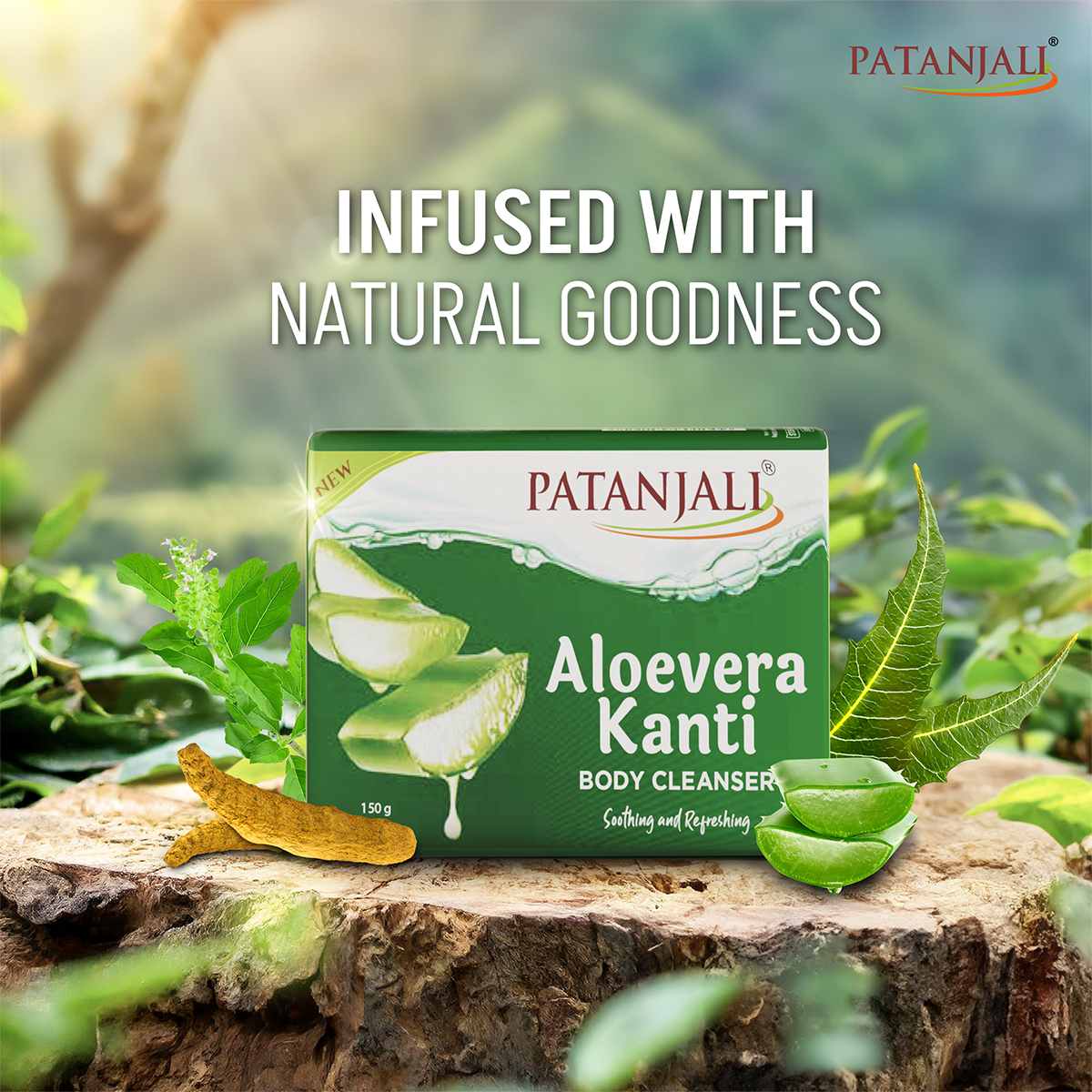 Patanjali Aloevera Kanti Body Cleanser, With Nourishing & Glorifying The Skin, 600gm