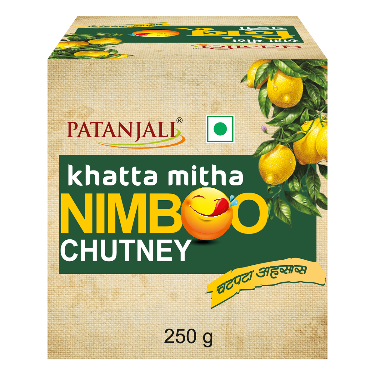 Patanjali Khatta Mitha Nimboo Chutney 250gm