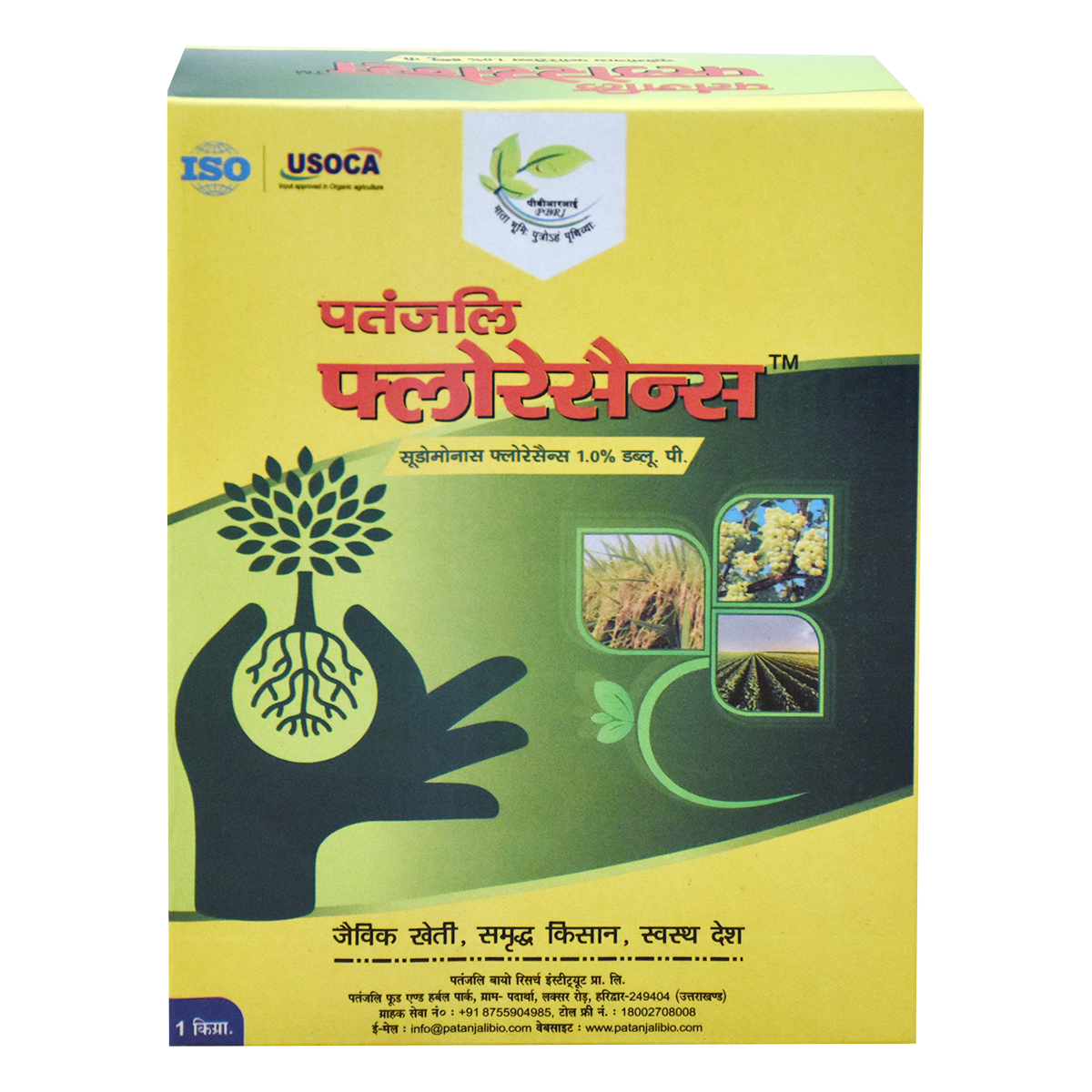Patanjali Fluorescens With Tomato, Brinjal, Okra, Bacterial Soft Rot Disease Of Carrot & Plant,1kg