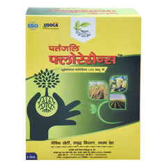 Patanjali Fluorescens With Tomato, Brinjal, Okra, Bacterial Soft Rot Disease Of Carrot & Plant,1kg